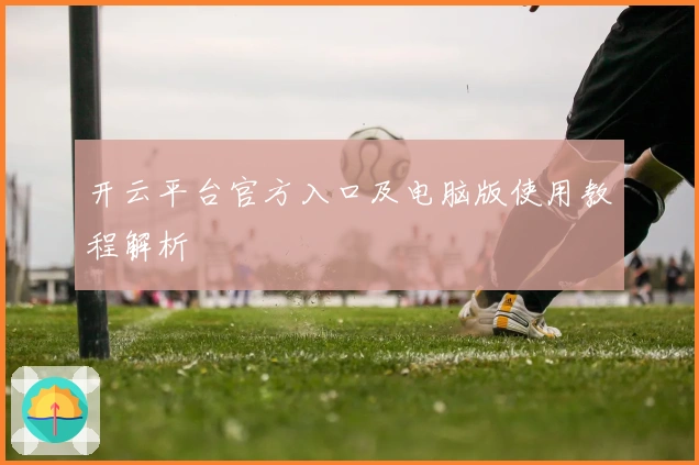 开云平台官方入口及电脑版使用教程解析