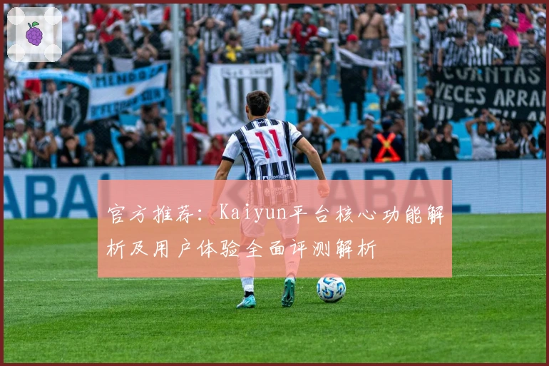 官方推荐：Kaiyun平台核心功能解析及用户体验全面评测解析